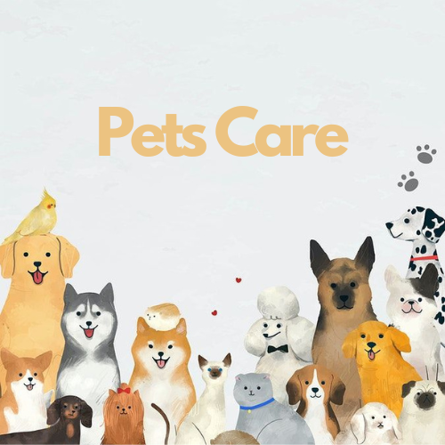 Pets Care