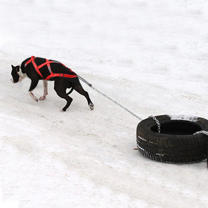 GreenAuraa® Husky Sled Pulling Harness