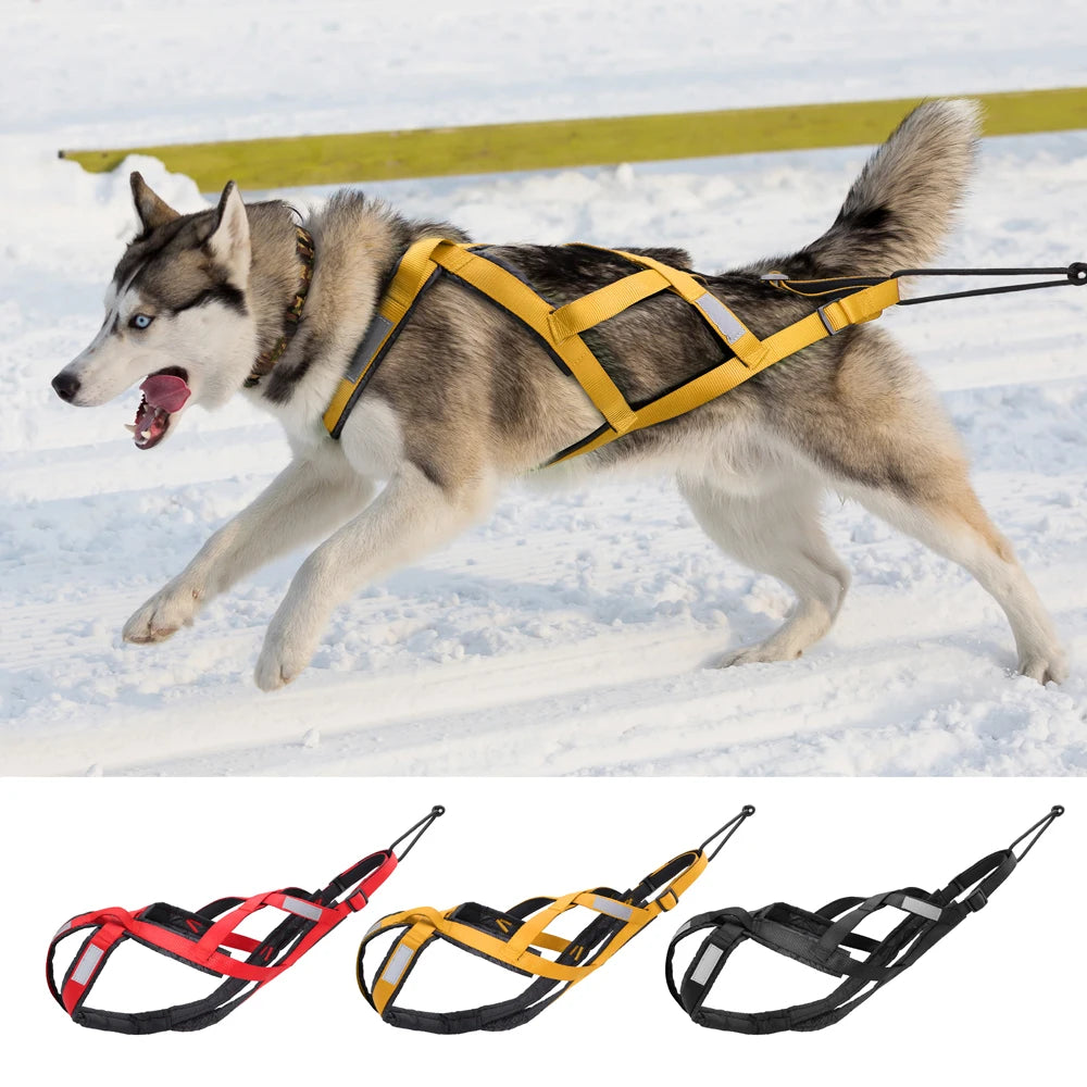 GreenAuraa® Husky Sled Pulling Harness