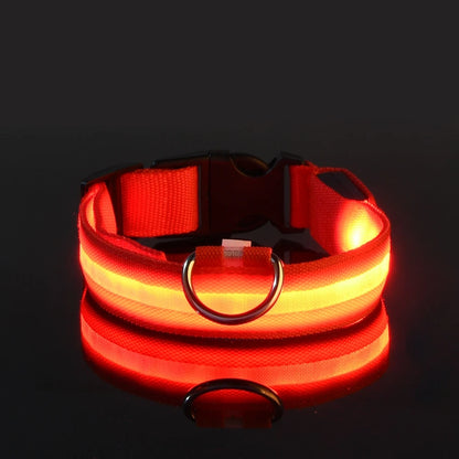 GreenAuraa® - Night Safety Flashing LED Pet Collar