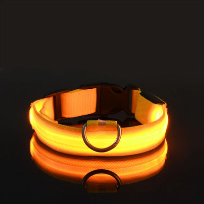 GreenAuraa® - Night Safety Flashing LED Pet Collar