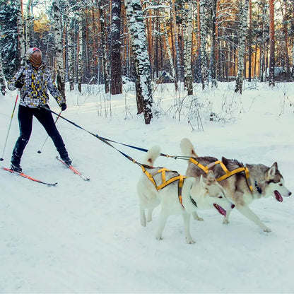 GreenAuraa® Husky Sled Pulling Harness