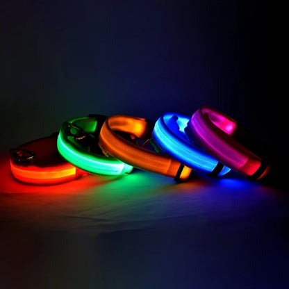 GreenAuraa® - Night Safety Flashing LED Pet Collar