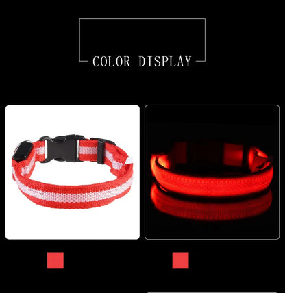 GreenAuraa® - Night Safety Flashing LED Pet Collar